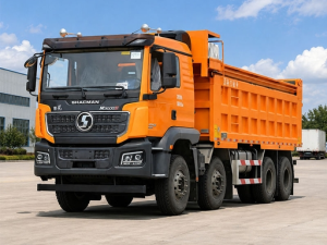SHACMAN DELONG M3000 8x4 Tipper Truck