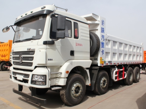 SHACMAN DELONG M3000 8x4 Tipper Truck 3/4 view