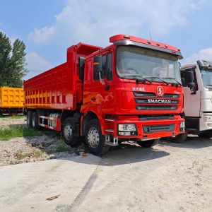 Shaanxi Delong 8x4 Dump Truck
