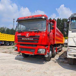 Shaanxi Delong 8x4 Dump Truck